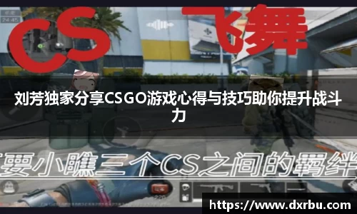 刘芳独家分享CSGO游戏心得与技巧助你提升战斗力